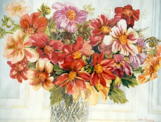 Dalias